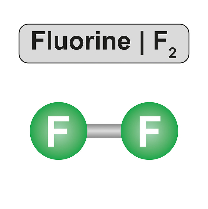 Fluorine molecule, illustration Illustration of a fluorine  F2  molecule., by ALI DAMOUH SCIENCE PHOTO LIBRARY