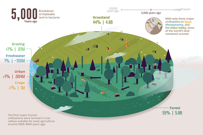 Habitable land by type, 5,000 years ago, illustration Infographic chart illustrating the different types of habitable land that existed 5,000 years ago. This period saw the rise of three major civilisations  Egypt, Mesopotamia and the Indus Valley . The land was made up of 55 percent forest, 44 percent wild grassland, 1 percent freshwater and less than one percent used for agriculture, grazing and urban populations. This contrasts with the way land exists today. As of 2018, 38 percent of habitable land exists as forests, 14 percent grassland, 1 percent freshwater. The remainder is taken up for use by agriculture, grazing and urban environments., by VISUAL CAPITALIST SCIENCE PHOTO LIBRARY