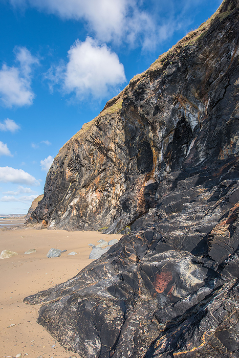 Coastal cliffs, Wales Ordovician black shales, Druidston Haven, Pembrokeshire, Wales, UK., by ANDY DAVIES SCIENCE PHOTO LIBRARY