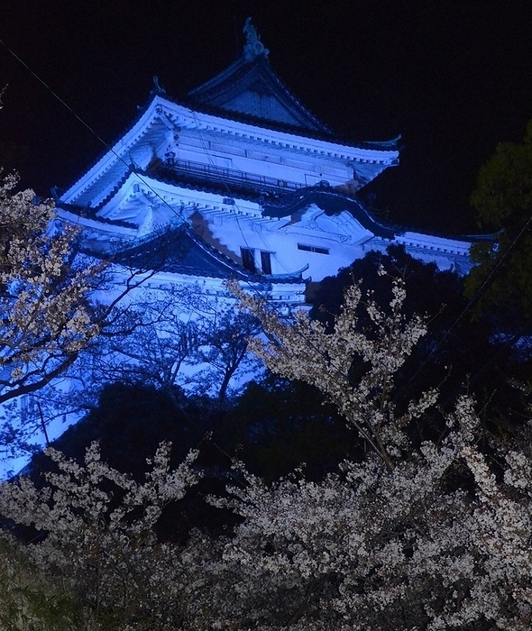 Wakayama Castle Keep lit up in blue for World Autism Awareness Day. Wakayama Castle keep illuminated in blue at 7:38 p.m. on April 2, 2023 in Wakayama City  photo by Tomokazu Komaki.