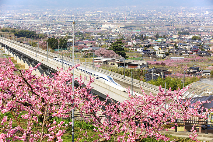 Yamanashi Linear Test Line Line Line, Peach Field and Southern Alps Fuesuki-shi, Yamanashi, Japan