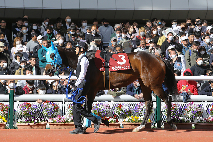 2023 Hanshin Himba Stakes Win Charlotte   Win Charlotte is led through the paddock before the Sankeisports Hai Hanshin Himba Stakes at Hanshin Racecourse in Hyogo, Japan, April 8, 2023 .  Photo by Eiichi Yamane AFLO 