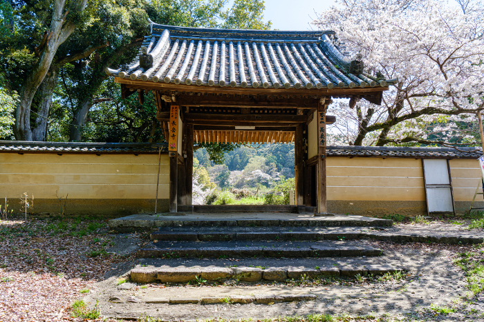 Tenri City, Nara Prefecture] Chogakuji Temple (Photo taken on 2023/03/29)