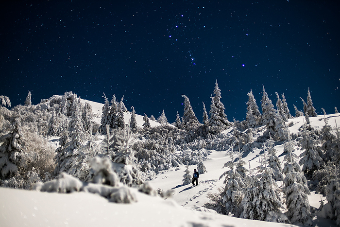Hiker Under Orion Constellation Cold Sky