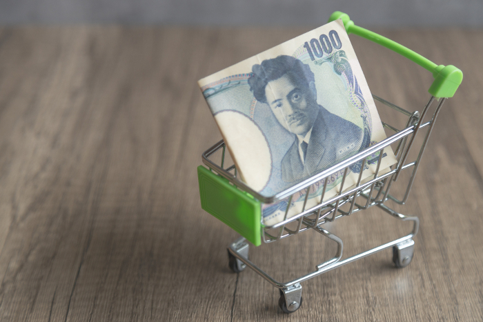 Image of shopping cart with 1,000 yen bill in it Shopping with cash