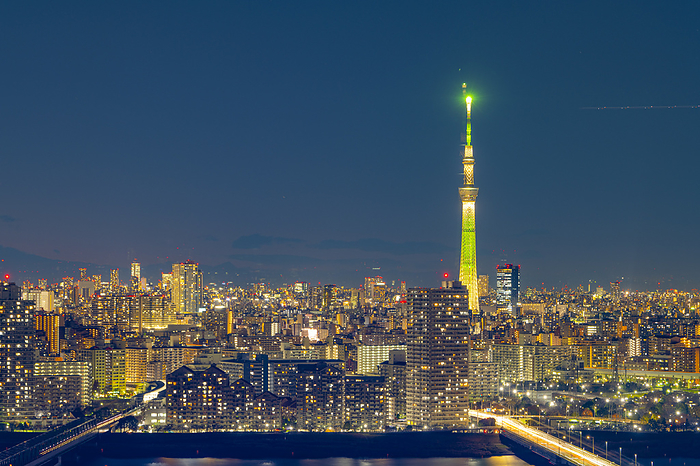 Buildings in central Tokyo and Sky Tree