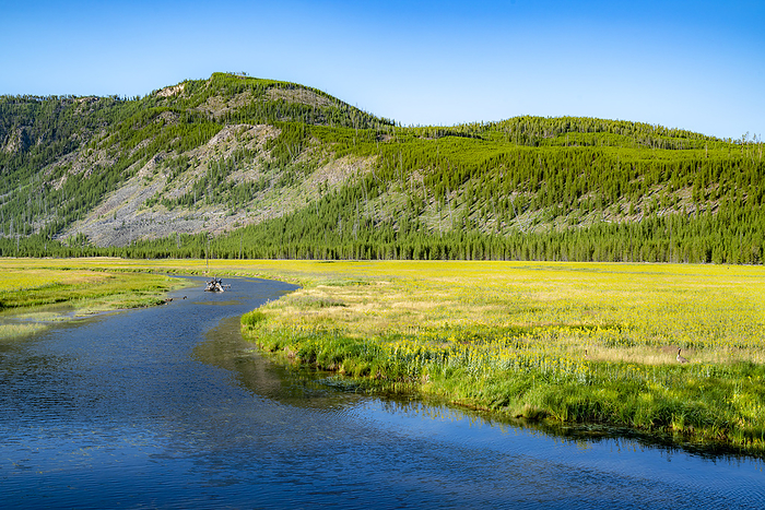 Madison River in Yellowstone National Park, USA