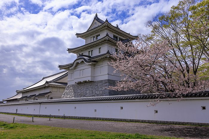 Sekijuku Castle in Cherry Blossom Noda City, Chiba Prefecture