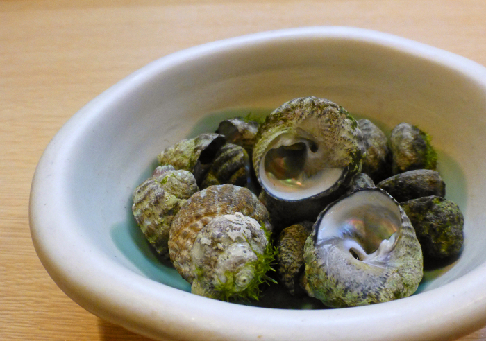 Enjoy the aroma of the sea! Shittaka, a staple of Izakaya, boiled shellfish with salt