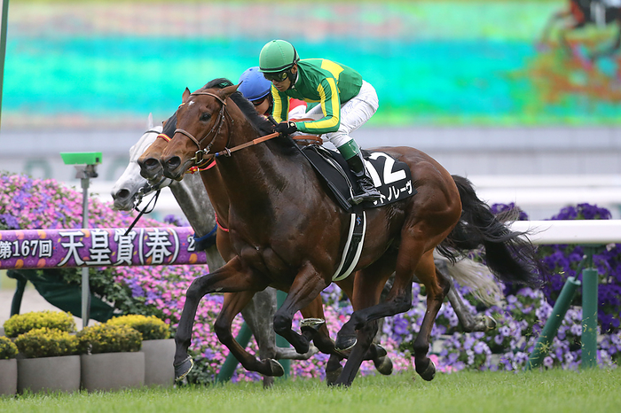 2023 Vermilion Stakes 2023 04 29 KYOTO 11R SUZAKU STAKES Winner: Satono Reve Suguru Hamanaka Jockey  green cap    Kyoto Racecourse in Kyoto, Japan, April 29, 2023.