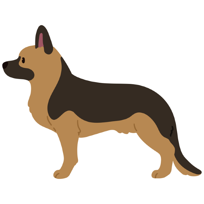 Illustration of simple and cute German Shepherd facing sideways without main line
