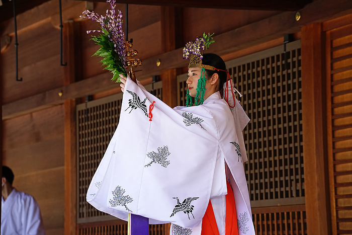 Jonangu Shrine Wisteria Miko Kagura Kyoto shi, Kyoto Wisteria flower guardians. On the front stage of the Kaguraden, a shrine maiden  miko  with a wisteria flower in her crown, a wisteria branch, and a bell in her hand performs a dance.