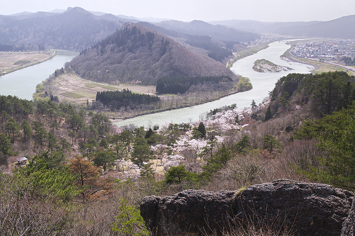 Kimimachihan Cherry Blossoms, Mt. Nanaza and Yonashiro River Akita Pref. From Kimimachihan Ipponmatsu