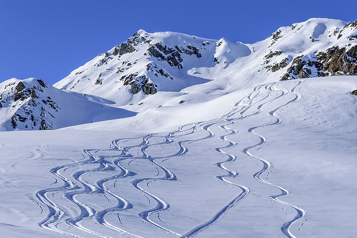 Austria, Tyrol, Winding tracks in snow