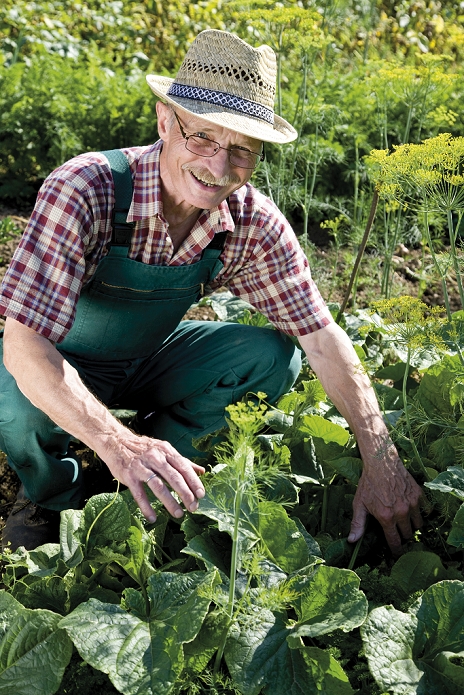Proud gardener harvesting vegetables