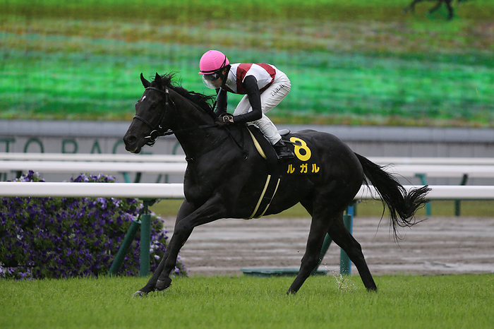 2023 Tachibana Stakes Rugal Winner 2023 05 07 KYOTO 10R Tachibana Stakes   TACHIBANA STAKES Winner Lugal Taiga Tsunoda Jockey  peach cap    at Kyoto Racecourse in Kyoto, Japan, May 7, 2023.