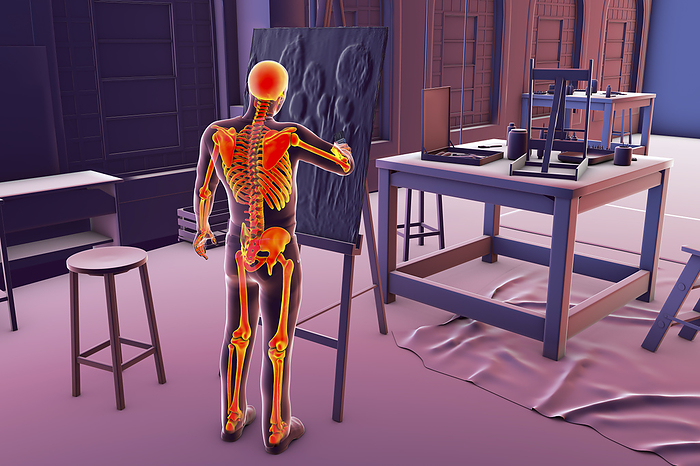 Skeleton of an artist, illustration Illustration of a male artist with a highlighted skeleton painting on canvas in his studio, computer illustration emphasizing the musculoskeletal strain and potential disorders that artists can experience., by KATERYNA KON SCIENCE PHOTO LIBRARY