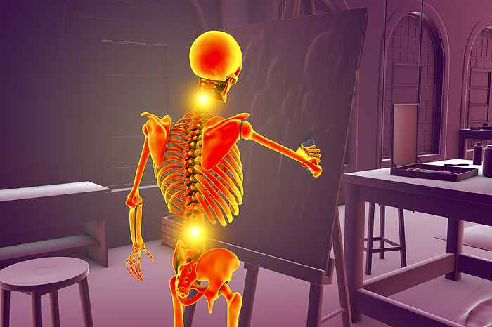 Artist with back and neck pain, illustration Illustration of a human skeleton painting on canvas in a studio while experiencing back and neck pain, highlighting the musculoskeletal disorders that can affect artists., by KATERYNA KON SCIENCE PHOTO LIBRARY