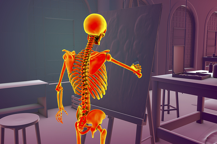 Skeleton painting in a studio, illustration. Illustration of a human skeleton painting on a canvas in a studio, computer illustration highlighting the skeletal activity involved in art making and its potential impact on the musculoskeletal system of artists., by KATERYNA KON SCIENCE PHOTO LIBRARY
