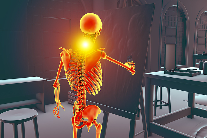 Artist with neck pain, illustration Illustration of a human skeleton painting on canvas in a studio while experiencing neck pain, highlighting the musculoskeletal disorders that can affect artists., by KATERYNA KON SCIENCE PHOTO LIBRARY