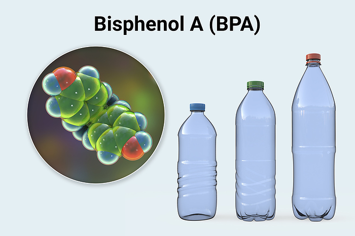 Bisphenol A molecule and plastic bottles, illustration Bisphenol A  BPA  molecule and plastic bottles. Computer illustration representing the organic compound s use in the production of polycarbonate polymers, particularly in plastic bottles and other plastic goods., by KATERYNA KON SCIENCE PHOTO LIBRARY