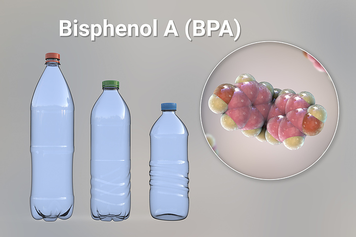 Bisphenol A molecule and plastic bottles, illustration Bisphenol A  BPA  molecule and plastic bottles. Computer illustration representing the organic compound s use in the production of polycarbonate polymers, particularly in plastic bottles and other plastic goods., by KATERYNA KON SCIENCE PHOTO LIBRARY