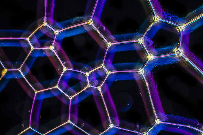 Polygonal lattice in shampoo, light micrograph Polygonal lattice in shampoo, darkfield and polarised light micrograph. Shampoo is a hair care product that is used to clean and maintain the health of the hair and scalp. It is typically a viscous liquid that is applied to wet hair and massaged into the scalp, working up a lather that helps to remove dirt, oil, and styling products from the hair. Shampoo is then rinsed out with water, leaving the hair clean and refreshed. Most shampoos contain a combination of cleansing agents, known as surfactants, that help to break down and remove dirt and oil from the hair. These can include ingredients such as sodium lauryl sulfate, sodium laureth sulfate, and cocamidopropyl betaine. In addition to surfactants, shampoos may also contain a variety of other ingredients that provide benefits such as conditioning, moisturizing, and volumising. Some common examples include proteins, vitamins, and natural oils., by KARL GAFF   SCIENCE PHOTO LIBRARY