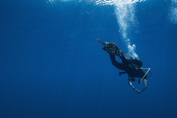 diver floating at Banda Sea during mandatory safety stop