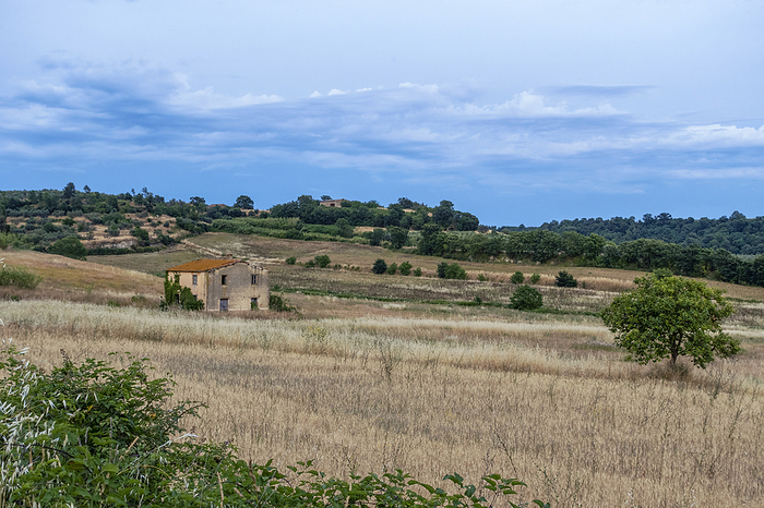 Italy, Lazio, Lone rural house surrounded by grassy field at dusk