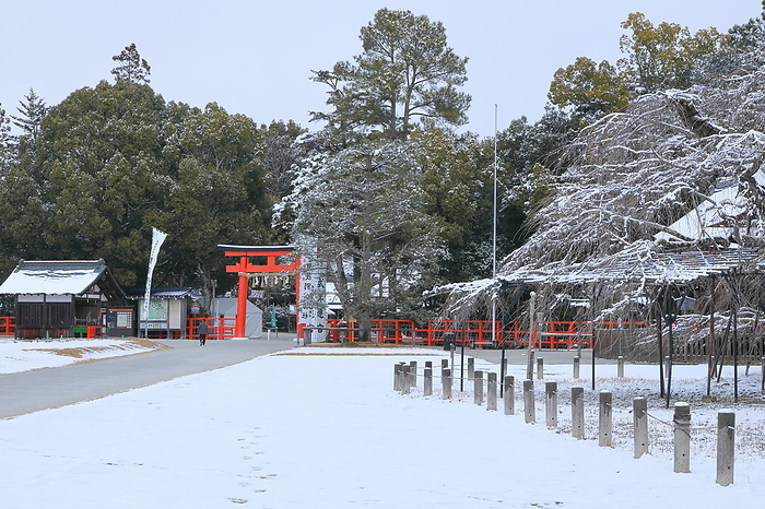 Kamigamo Shrine in light snow, Kyoto City, Kyoto Prefecture
