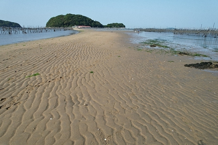 The  path  emerging from the sea has floating patterns drawn by the waves. A  road  emerging from the sea has a pattern drawn by waves floating on it. 7:57 a.m., May 17, 2023, at Shinden, Higashimazu cho, Nishio, Aichi, Japan  photo by Seito Ten.
