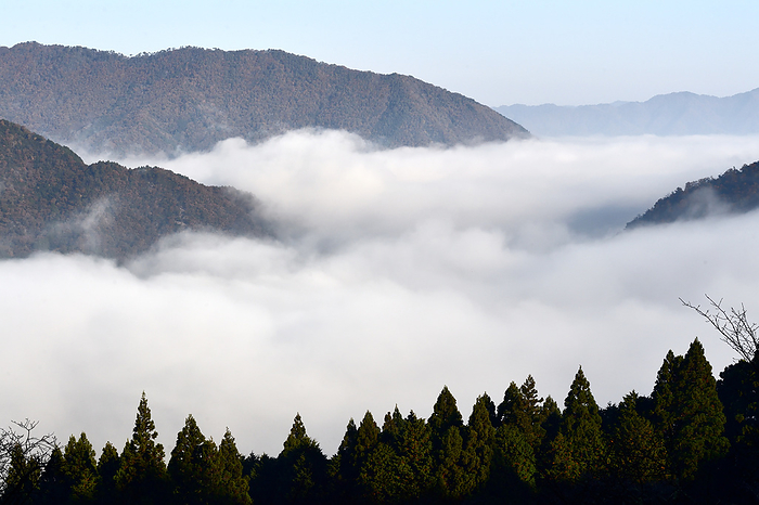 Sea of clouds seen from Tateunkyo, Hyogo Prefecture Taken from Tateunkyo