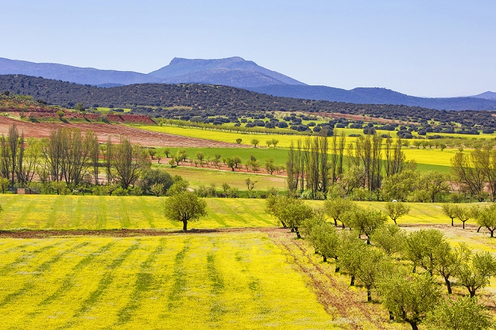 Almeria, Andalusia, Spain Spain, Andalucia Region, Almeria Province,