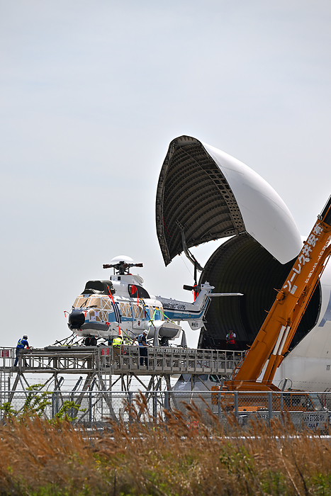 Large helicopter pulled out of the cargo hold of an Airbus A300 600ST  Beluga , Hyogo, Japan Taken at Kobe Airport. This is the third time a beluga has flown to Japan. First flight to Kobe Airport in about 1 year and 5 months since December 2021.