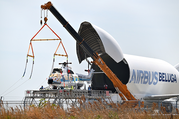 Large helicopter pulled out of the cargo hold of an Airbus A300 600ST  Beluga  in Hyogo Prefecture, Japan, with the suspension rope turned. Taken at Kobe Airport. This is the third time a beluga has flown to Japan. First flight to Kobe Airport in about 1 year and 5 months since December 2021.
