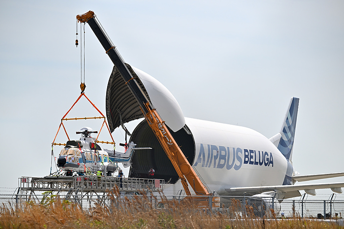 Large helicopter with a suspension rope pulled out of the cargo hold of an Airbus A300 600ST  Beluga  in Hyogo Prefecture, Japan, and secured with a suspension rope Taken at Kobe Airport. This is the third time a beluga has flown to Japan. First flight to Kobe Airport in about 1 year and 5 months since December 2021.