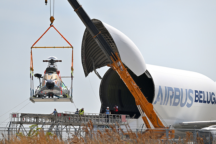 Large helicopter being pulled out of the cargo hold of an Airbus A300 600ST  Beluga  in Hyogo Prefecture, Japan and lifted up Taken at Kobe Airport. This is the third time a beluga has flown to Japan. First flight to Kobe Airport in about 1 year and 5 months since December 2021.