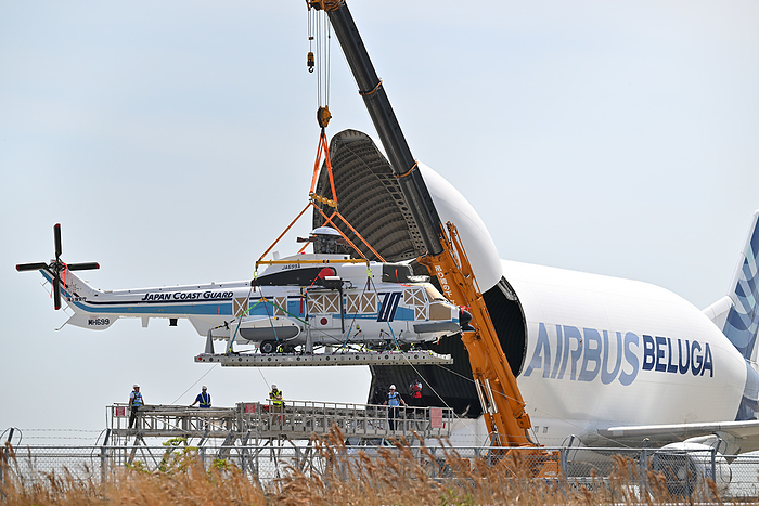 Large helicopter being pulled out of the cargo hold of an Airbus A300 600ST  Beluga  in Hyogo Prefecture, Japan and lifted up Taken at Kobe Airport. This is the third time a beluga has flown to Japan. First flight to Kobe Airport in about 1 year and 5 months since December 2021.