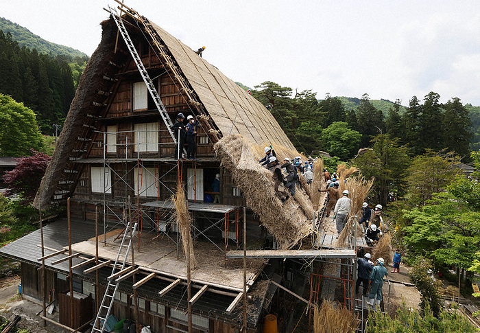 Thatched roof of the Myozenji temple treasury with a 56 degree slope The thatched roof of the Myozenji temple s attic, which has a 56 degree slope. Villagers were replacing the thatch while being careful of the scaffolding to prevent it from falling.