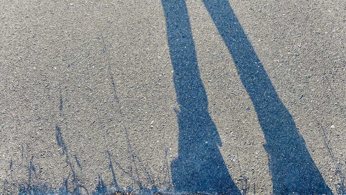 Shadow of grass and feet on asphalt