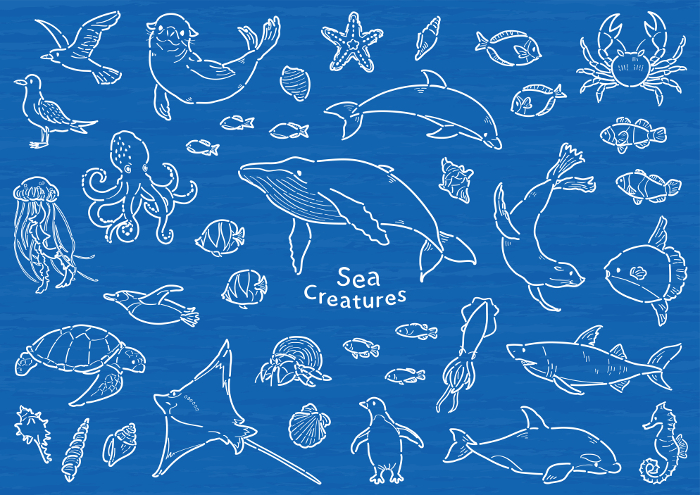 Sea Creatures Illustration Set Line Drawing