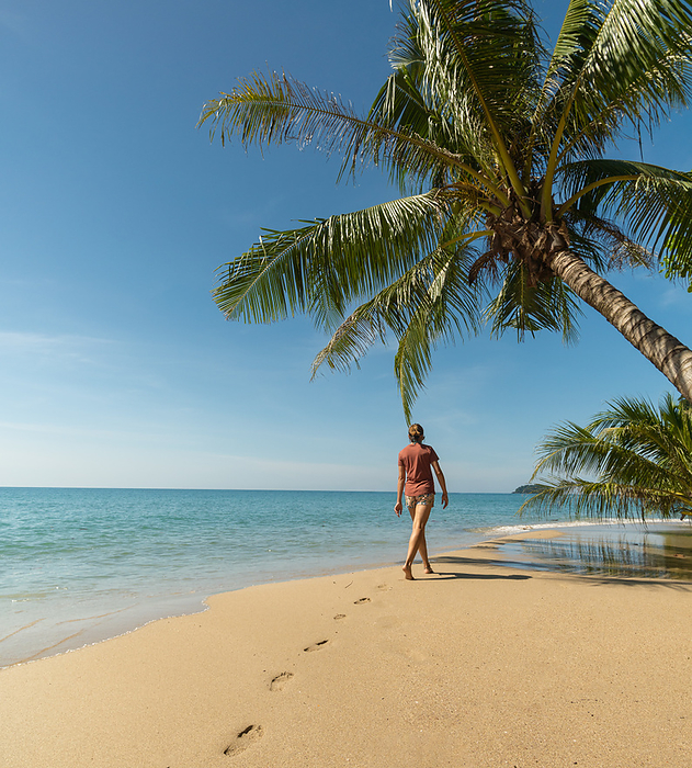 Traveler woman walking on beach under palm tree