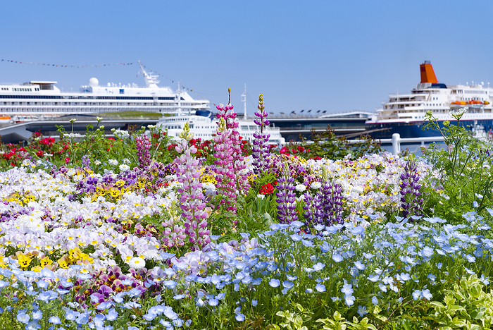 Flower beds in Yamashita Park and a luxury cruise ship, Yokohama, Kanagawa Prefecture Yamashita Park, Yamashita cho, Naka ku, Yokohama City, Kanagawa Prefecture