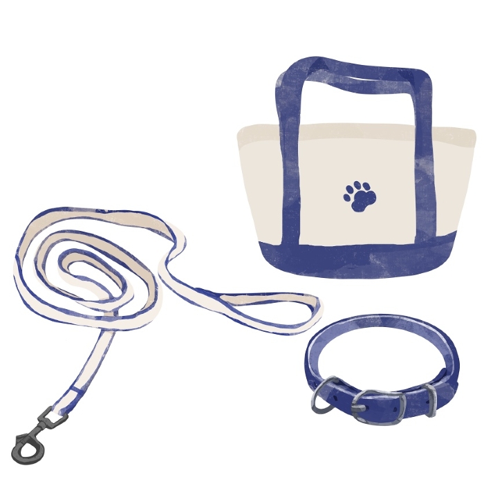 Dog walking toy set, collar, leash, tote bag, blue collar
