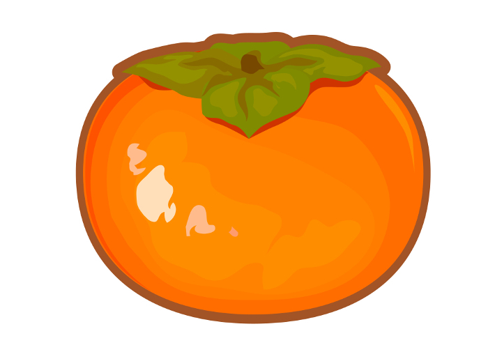 Clip art of persimmon