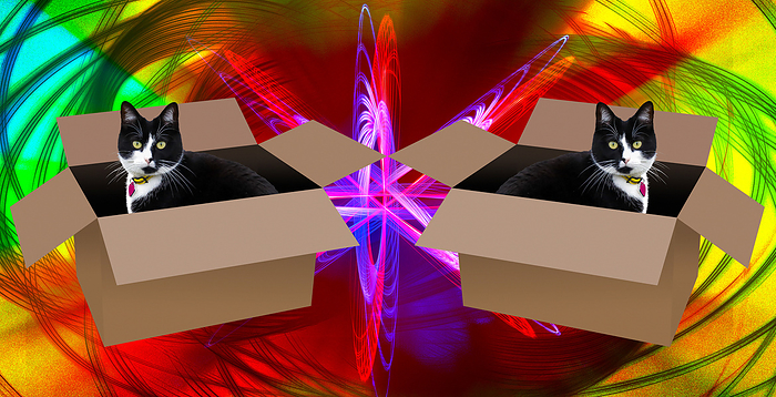 Schrodinger s cat, composite illustration Schrodinger s cat. Composite illustration of a mirror image of a cat in a box. A quantum event  such as the decay of a radioactive particle  will trigger an event that will kill the cat, but if the box is sealed it is not known whether the quantum event has taken place or not. In this hypothetical situation, the cat is thought to be both alive and dead until observed. This is because according to quantum physics, a quantum event exists in a state of  superposition  where both outcomes simultaneously exist until it is observed. This thought experiment was devised in 1935 by the Austrian physicist Erwin Schrodinger  1887 1961 ., by VICTOR de SCHWANBERG SCIENCE PHOTO LIBRARY