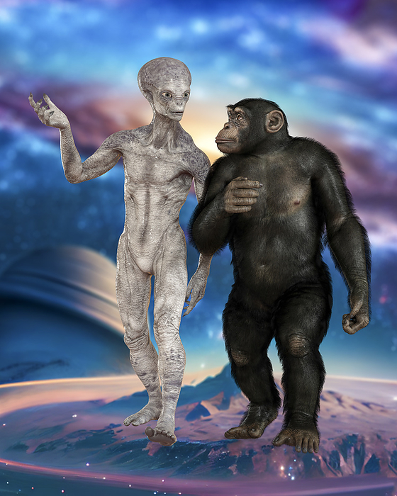 Alien and chimpanzee, illustration Alien and chimpanzee, computer illustration., by KATERYNA KON SCIENCE PHOTO LIBRARY