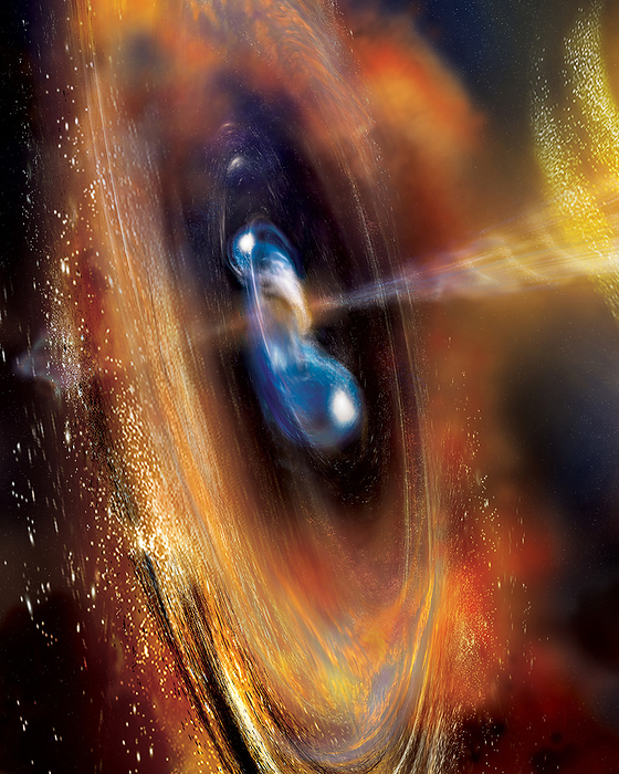 Illustration of a gamma ray burst as two neutron stars begin to merge Illustration of a gamma ray burst  GRB  from the merger of two neutron stars. GRBs are high energy explosions that can either be long burst, lasting two seconds or more, or short burst, lasting less than two seconds. It was previously thought that long burst GRBs resulted from the collapse of massive stars, while short burst GRBs resulted from the merger of two dense objects, such as neutron stars. The first long burst GRB that resulted from the merger of two neutron stars  GRB 211211A  was observed on the 11th December 2021. Heavy elements such as gold and platinum are formed from the merger of neutron stars. Previous estimates of the amounts of these heavy elements in the universe were calculated using the numbers of only short burst GRBs, but due to this discovery long burst GRBs will also need to be factored in., by NASA Goddard Space Flight Center A. Simonnet  Sonoma State Univ.  SCIENCE PHOTO LIBRARY