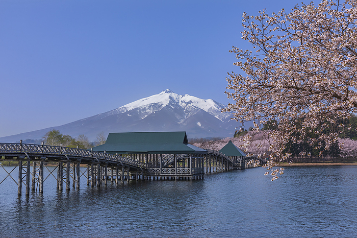 Iwakisan and Tsuru-no-mai Bridge in spring, Aomori Prefecture