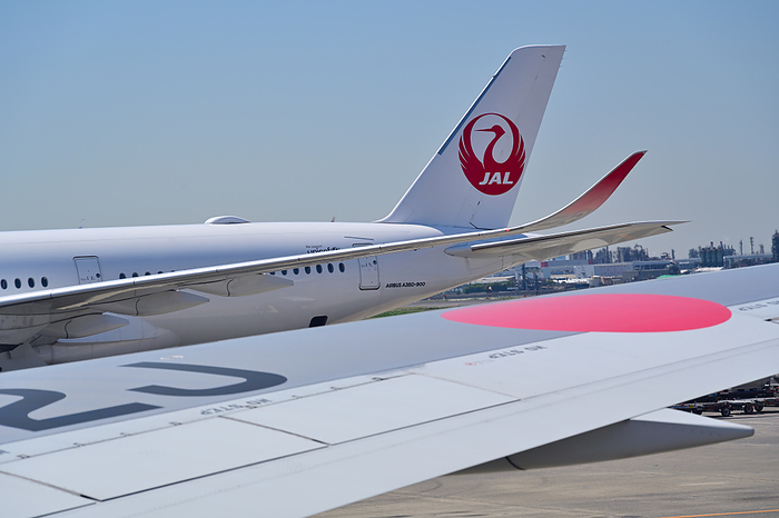 Japan Airlines A350 900 Haneda Airport